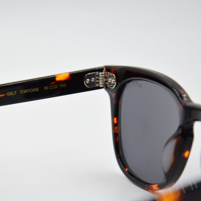 Solaire : MOSCOT GELT TORTOISE