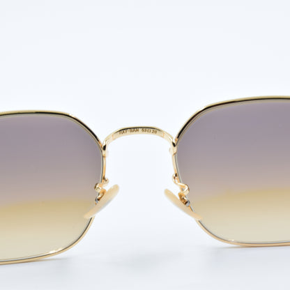 Solaire : Ray-Ban RB3694 Marron/Gold