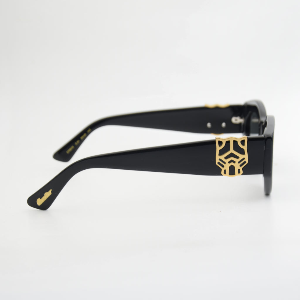 SOLAIRE : CARTIER CT0313 BLACK