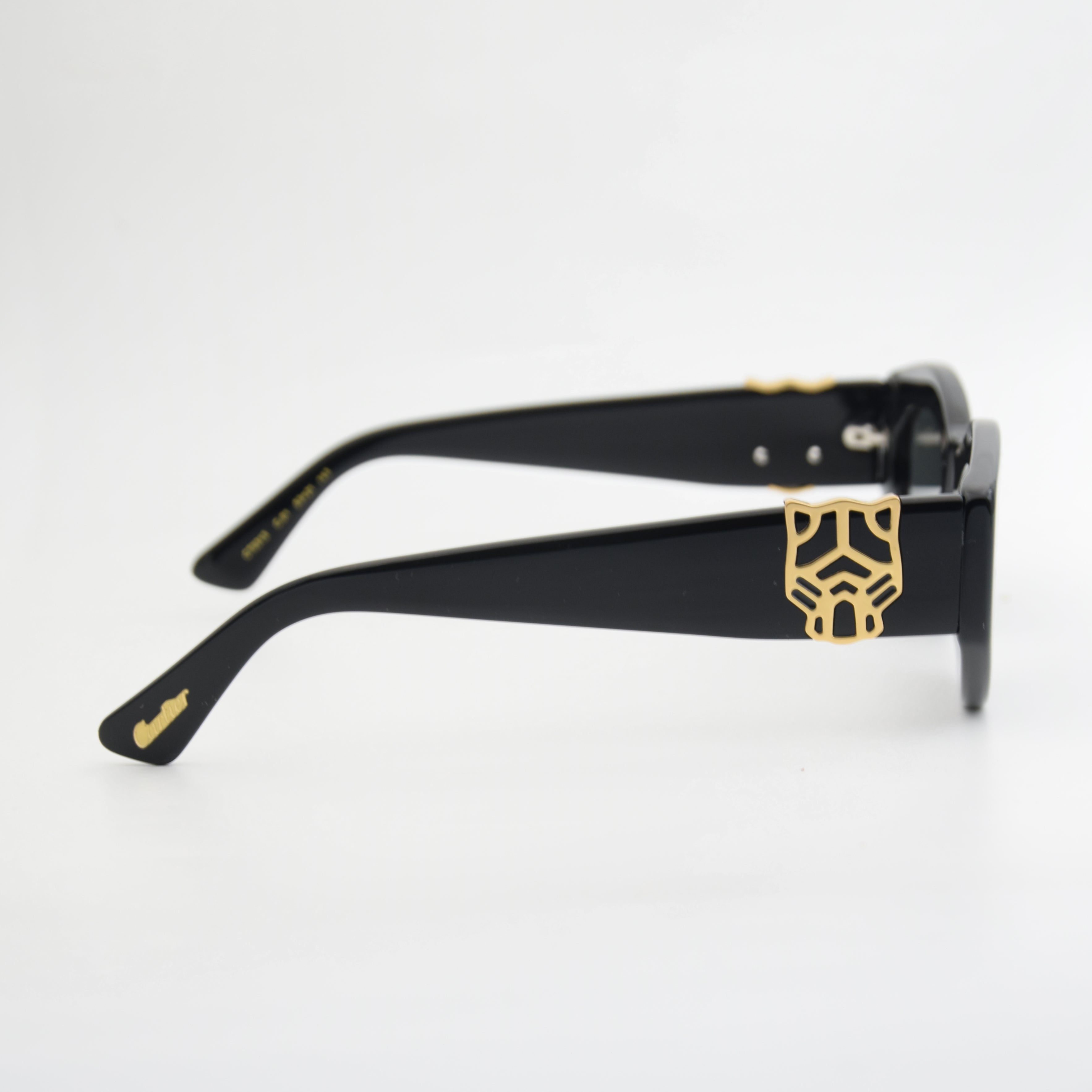 SOLAIRE : CARTIER CT0313 BLACK