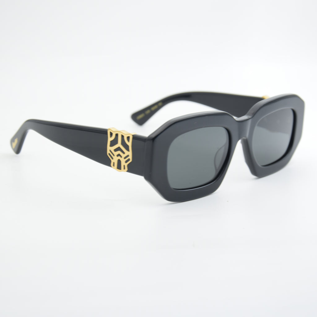 SOLAIRE : CARTIER CT0314 BLACK