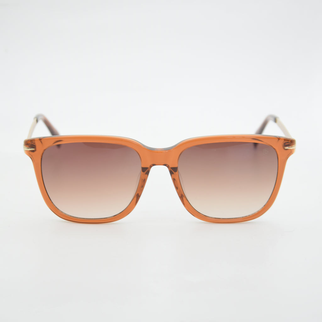 SOLAIRE :DAVID BECKHAM DB7067F/S MARRON